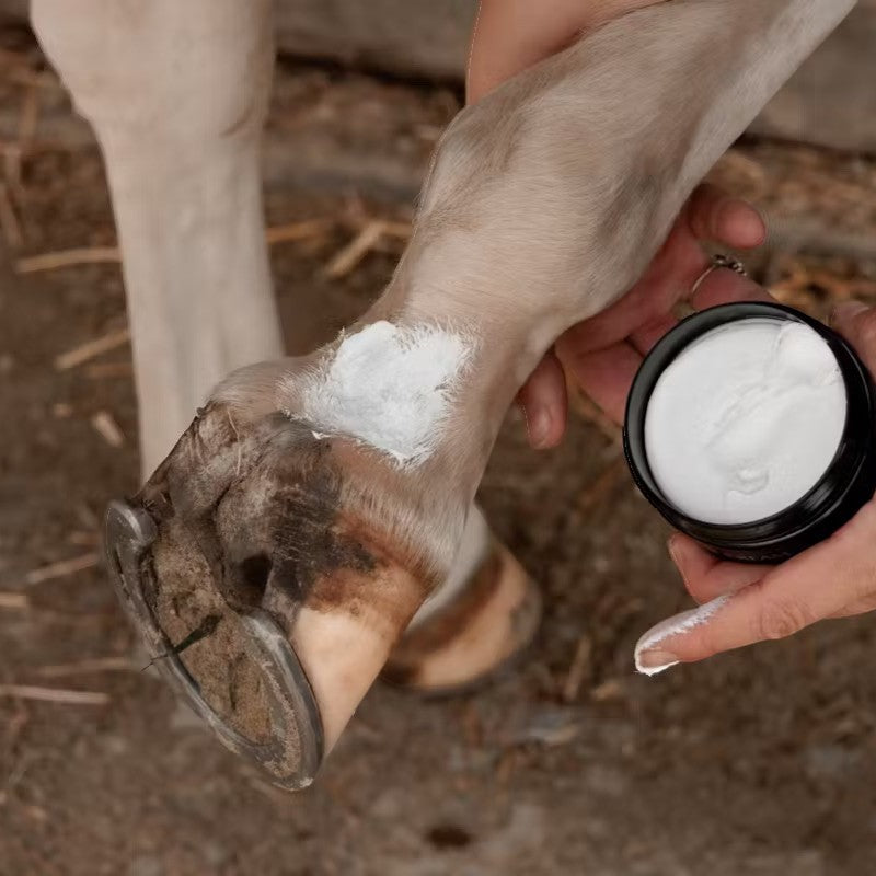 Grooming Deluxe - Crème Anti Gale de boue Mud Fever Plus | - Ohlala