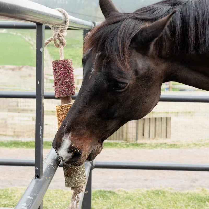 Grooming Deluxe - Jouet en bois relaxant pour cheval De-Stress | - Ohlala