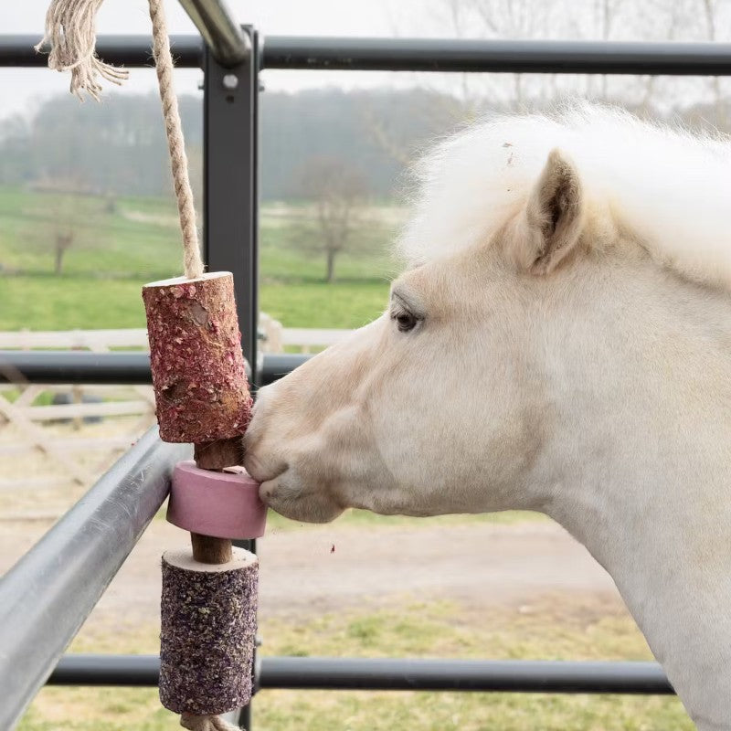 Grooming Deluxe - Jouet en bois relaxant pour cheval avec pierre à sel Sammy | - Ohlala