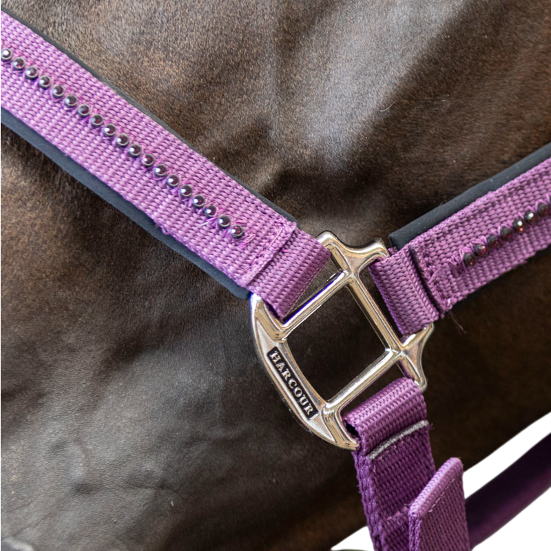 Harcour - Ensemble licol et longe Amour figue | - Ohlala