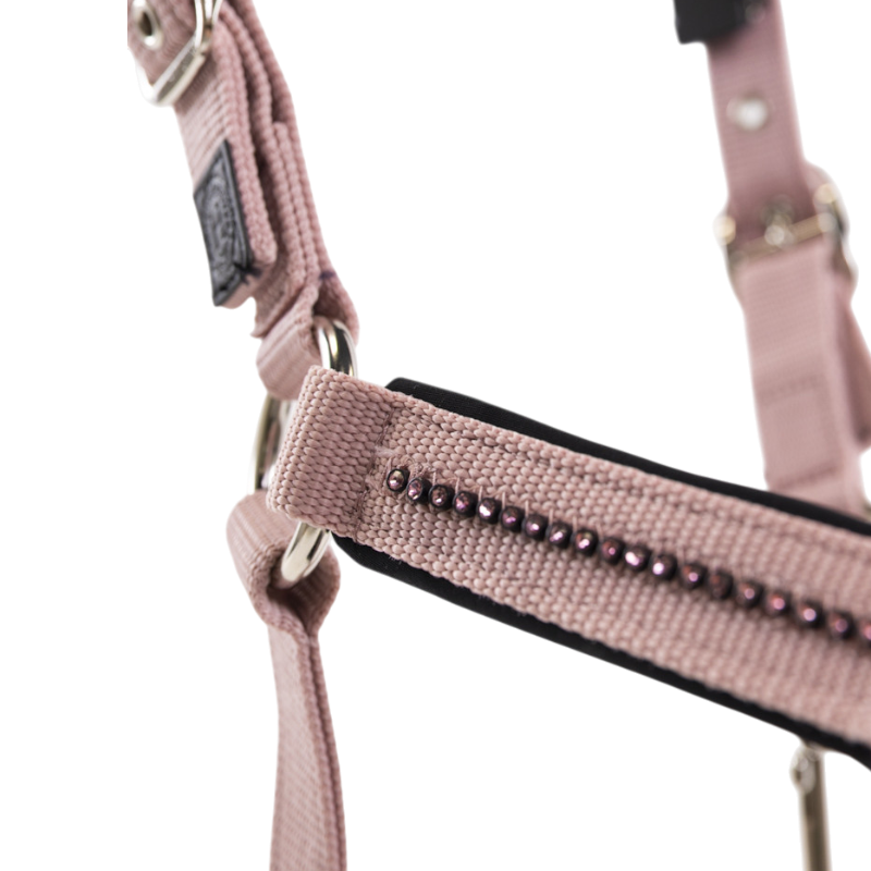 Harcour - Ensemble licol et longe Amour pivoine | - Ohlala