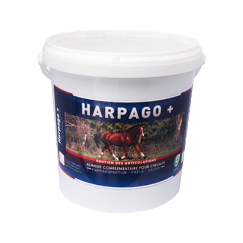 Greenpex - Complément alimentaire soutien articulaire Harpago + | - Ohlala