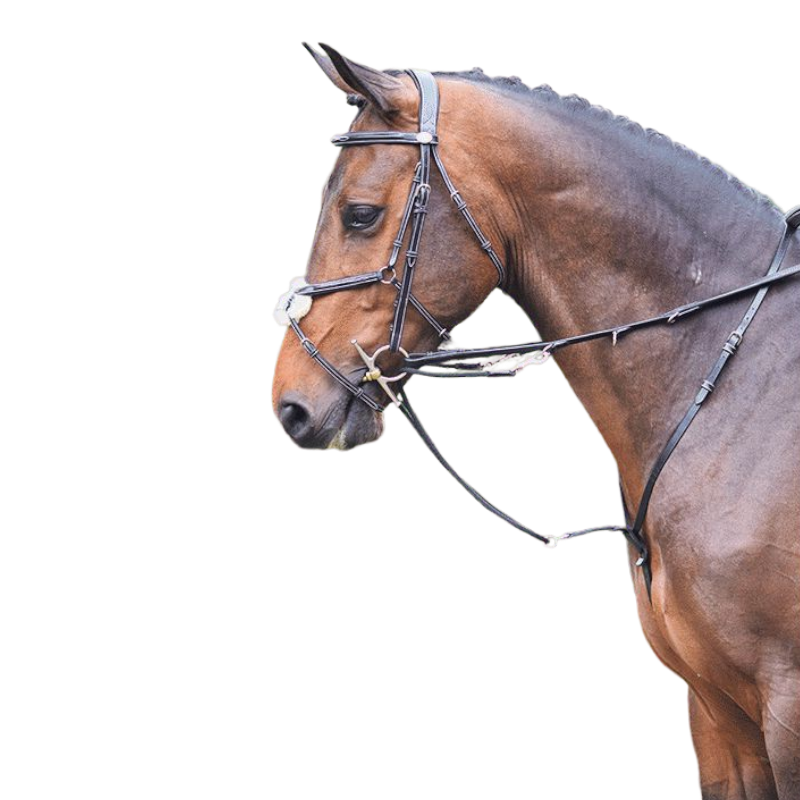 Jump'in - Enrênement Howlett Week | - Ohlala