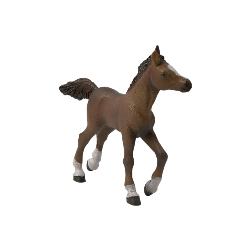 Papo - Poulain anglo-arabe | - Ohlala