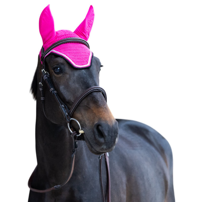 Jump'In - Bonnet pour chevaux Balthazar fuschia/ noir | - Ohlala