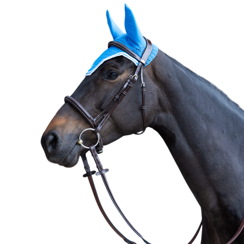 Jump'In - Bonnet pour chevaux Balthazar bleu royal/ blanc | - Ohlala