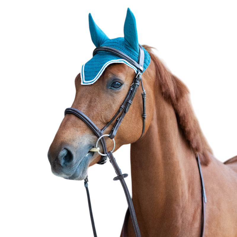Jump'In - Bonnet pour chevaux Balthazar lagon/ blanc | - Ohlala
