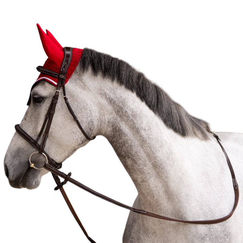 Jump'In - Bonnet pour chevaux Balthazar rouge/ marine | - Ohlala