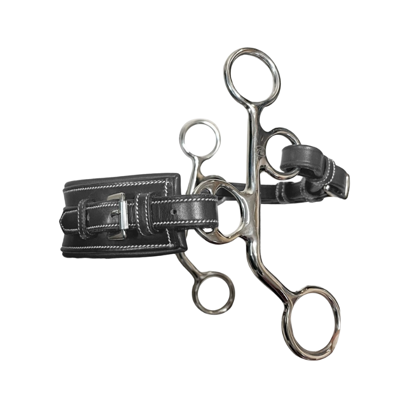 Jump'In - Hackamore cuir petites branches nez rectangle poney noir | - Ohlala