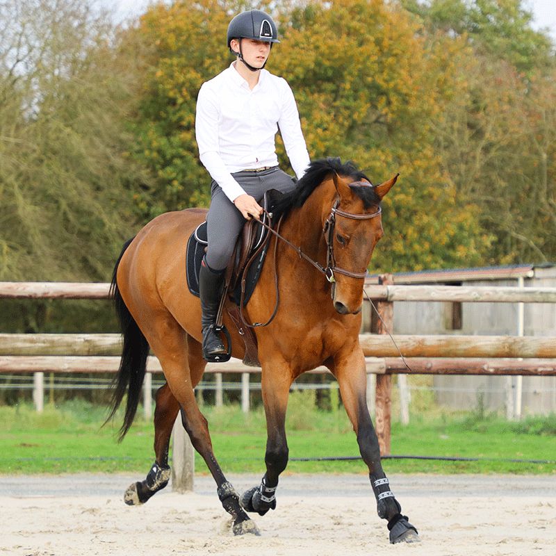 Jump'In - Pantalon d'équitation homme Super X Gris | - Ohlala