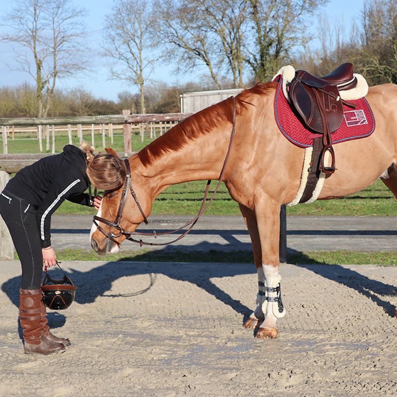 Jump'In - Tapis de selle Show One bordeaux/ marine | - Ohlala