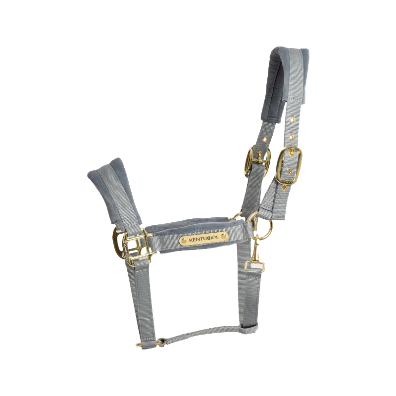 Kentucky Horsewear - Licol Velvet light blue | - Ohlala