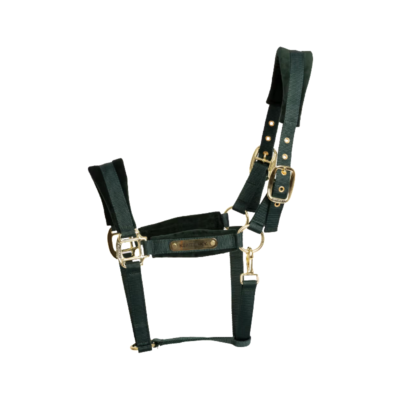 Kentucky Horsewear - Licol Velvet pine green | - Ohlala