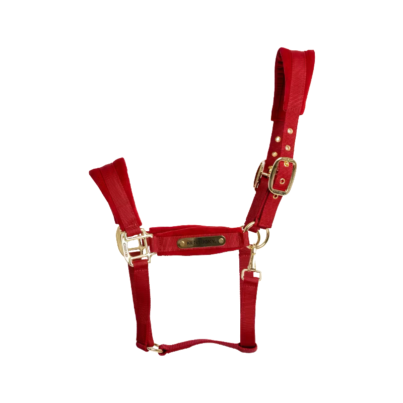 Kentucky Horsewear - Licol Velvet rouge | - Ohlala