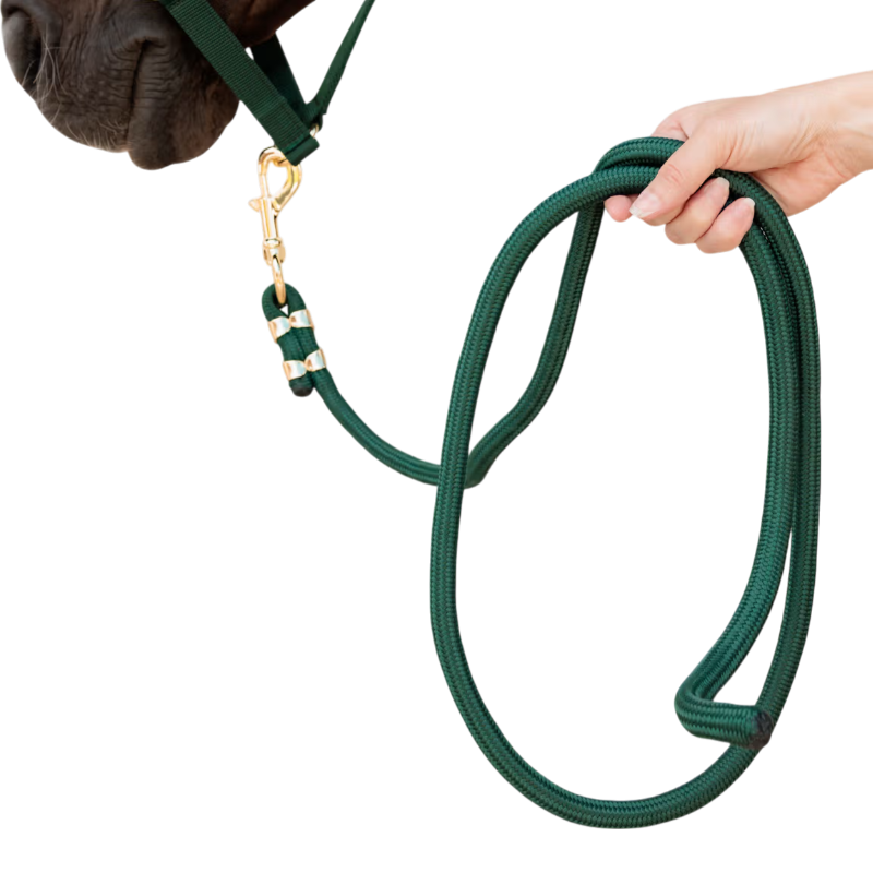 Kentucky Horsewear - Longe Rope Basic pine green 2m | - Ohlala