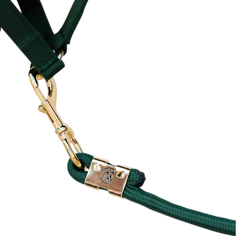 Kentucky Horsewear - Longe Rope Basic pine green 2m | - Ohlala