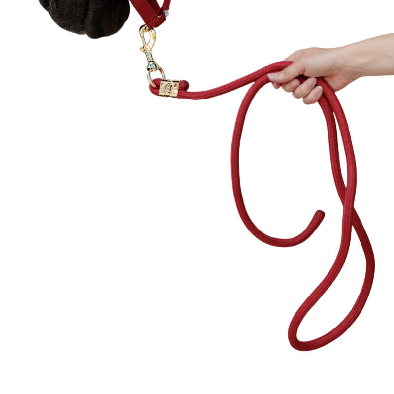 Kentucky Horsewear - Longe Rope Basic rouge 2m | - Ohlala