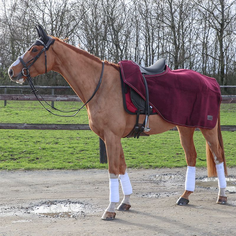 Kentucky Horsewear - Couvre-reins Heavy Fleece Bordeaux | - Ohlala