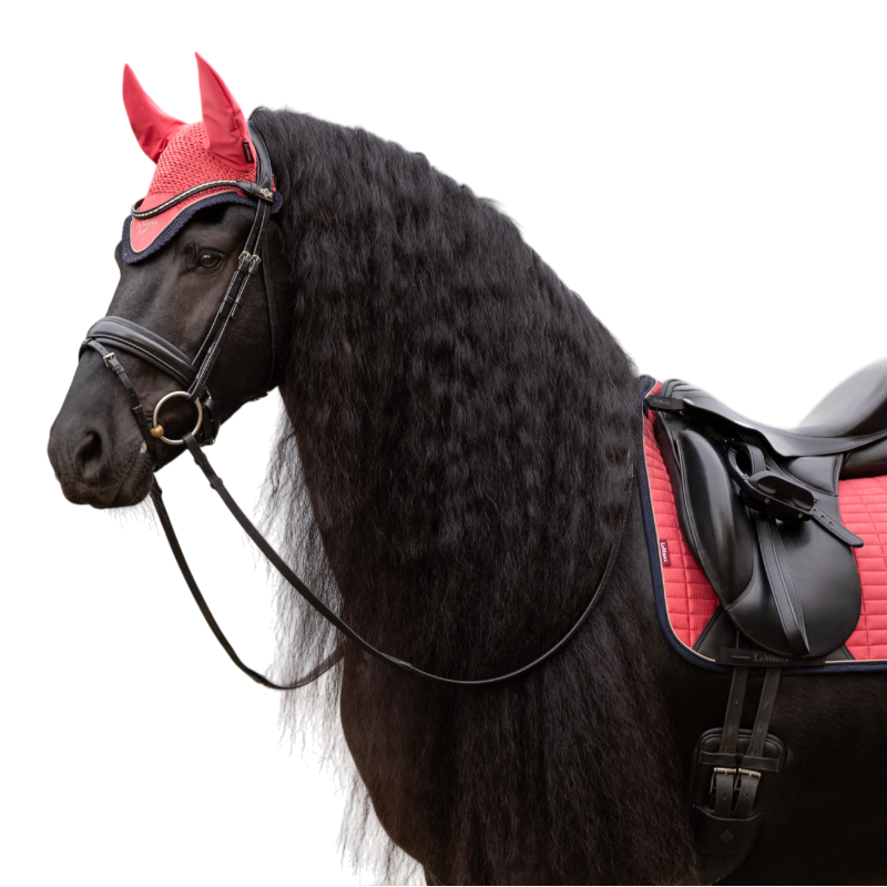 LeMieux - Bonnet pour chevaux Classic cranberry | - Ohlala