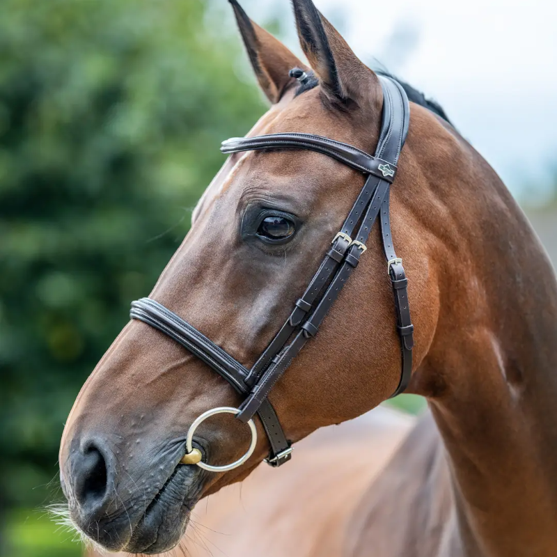 Lemieux - Bridon Arika Cavesson marron/ argent | - Ohlala