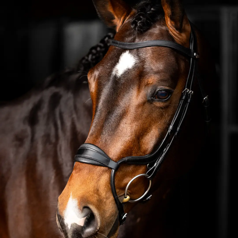Lemieux - Bridon Arika muserolle anatomique noir/ argent | - Ohlala