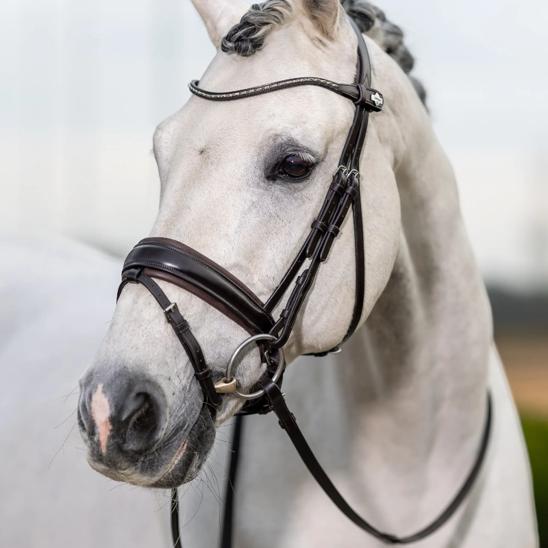 Lemieux - Bridon Kudos Classic Dressage marron | - Ohlala