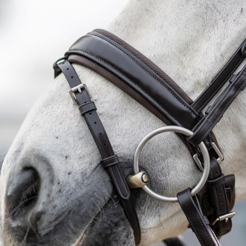 Lemieux - Bridon Kudos Classic Dressage marron | - Ohlala