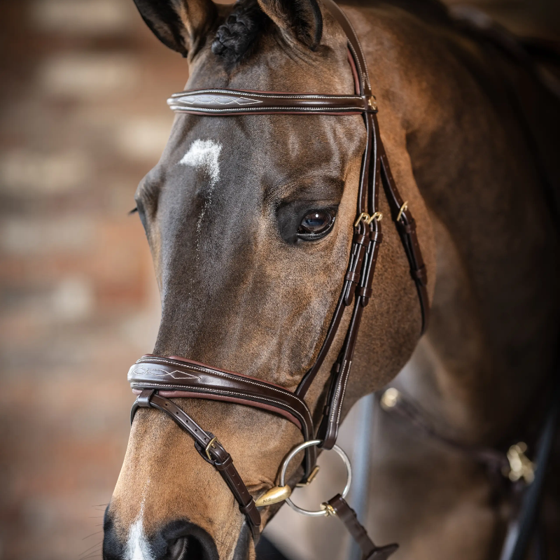 Lemieux - Bridon Kudos Competition Flash havane | - Ohlala