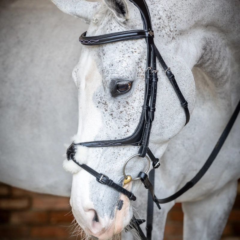 Lemieux - Bridon Kudos Grackle muserolle croisée noir | - Ohlala