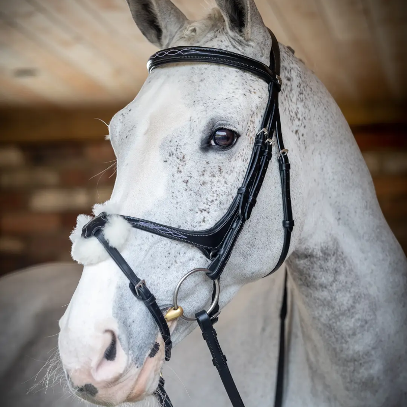 Lemieux - Bridon Kudos Grackle muserolle croisée noir | - Ohlala