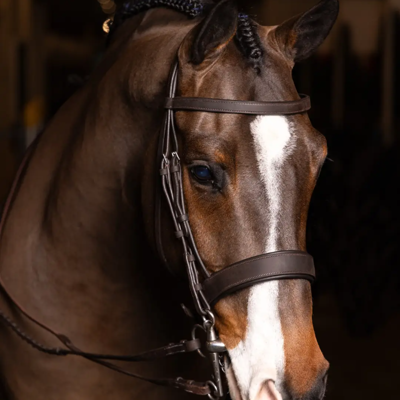 Lemieux - Bridon avec rênes Flat Hunter havane/ argent | - Ohlala