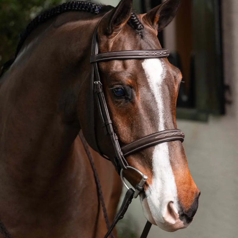 Lemieux - Bridon avec rênes Hunter havane/ argent | - Ohlala