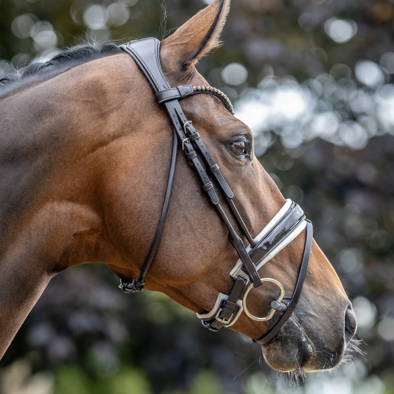 Lemieux - Bridon de dressage Kudos Patent marron/ blanc | - Ohlala