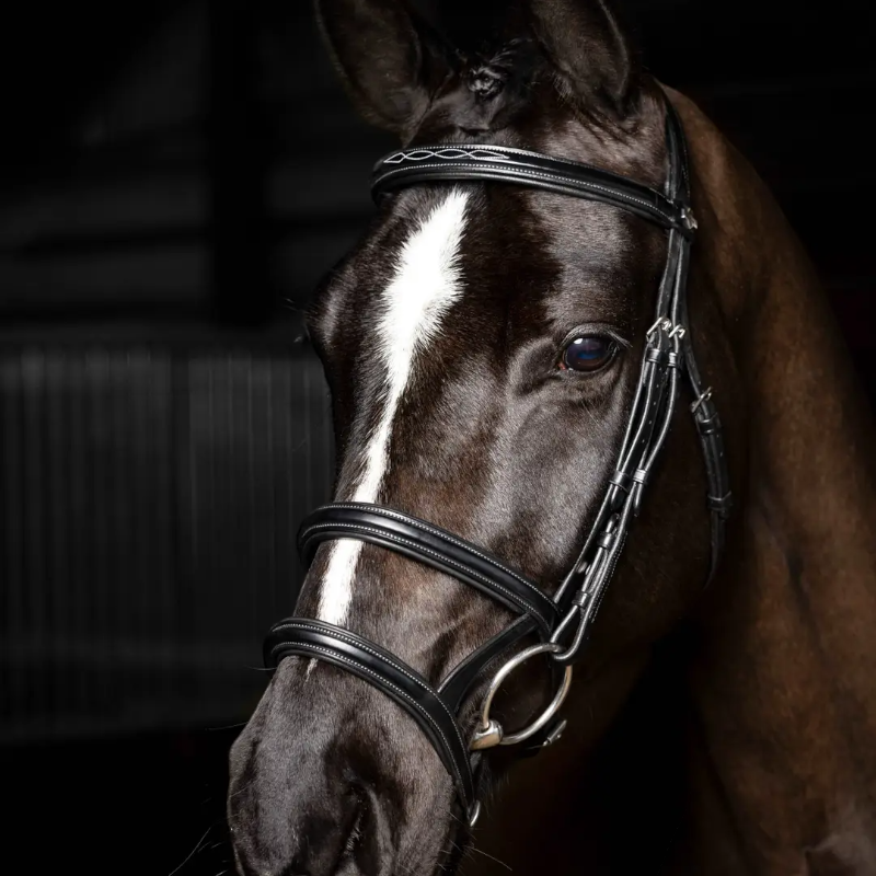 Lemieux - Bridon double muserolle Kudos noir/ argent | - Ohlala