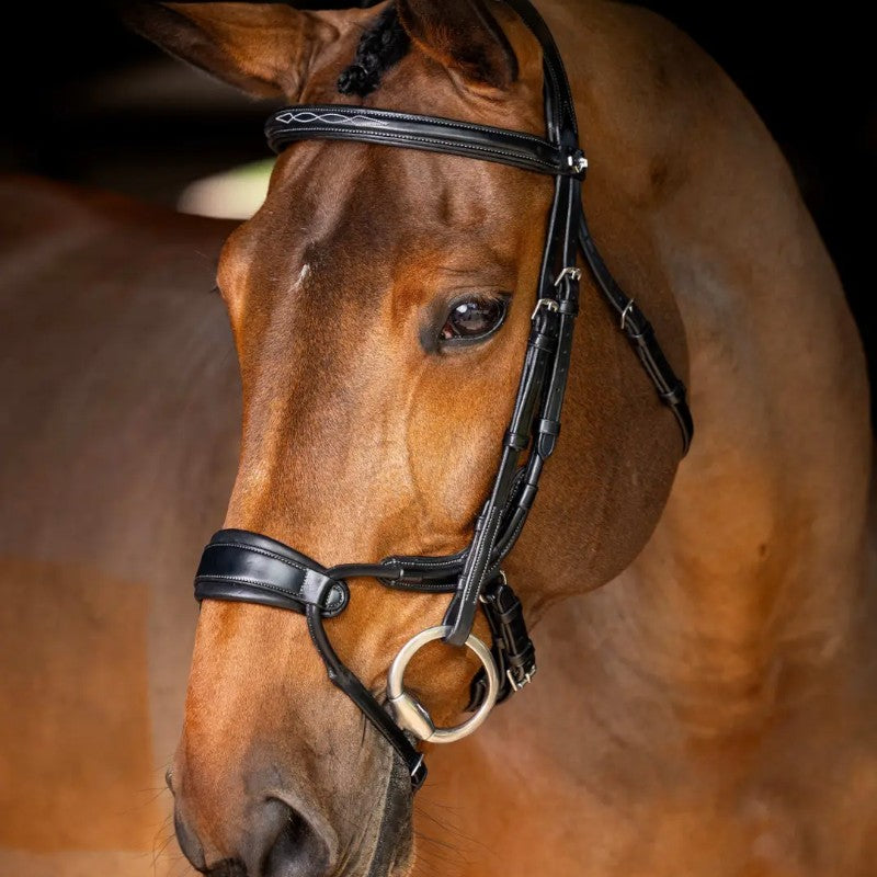 Lemieux - Bridon muserolle anatomique Kudos noir | - Ohlala