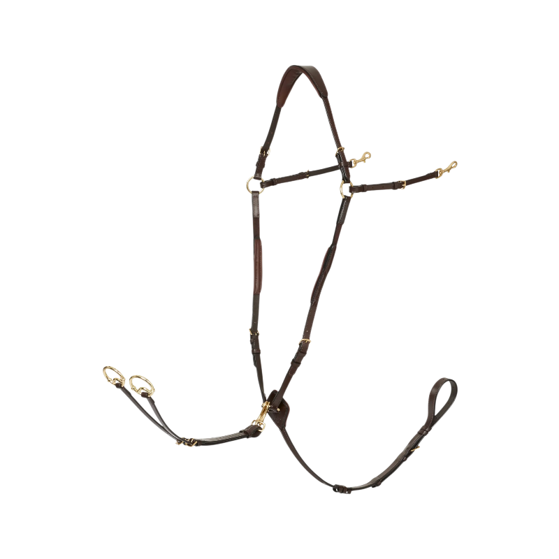 Lemieux - Collier de chasse D-Ring Attachment marron/ laiton | - Ohlala