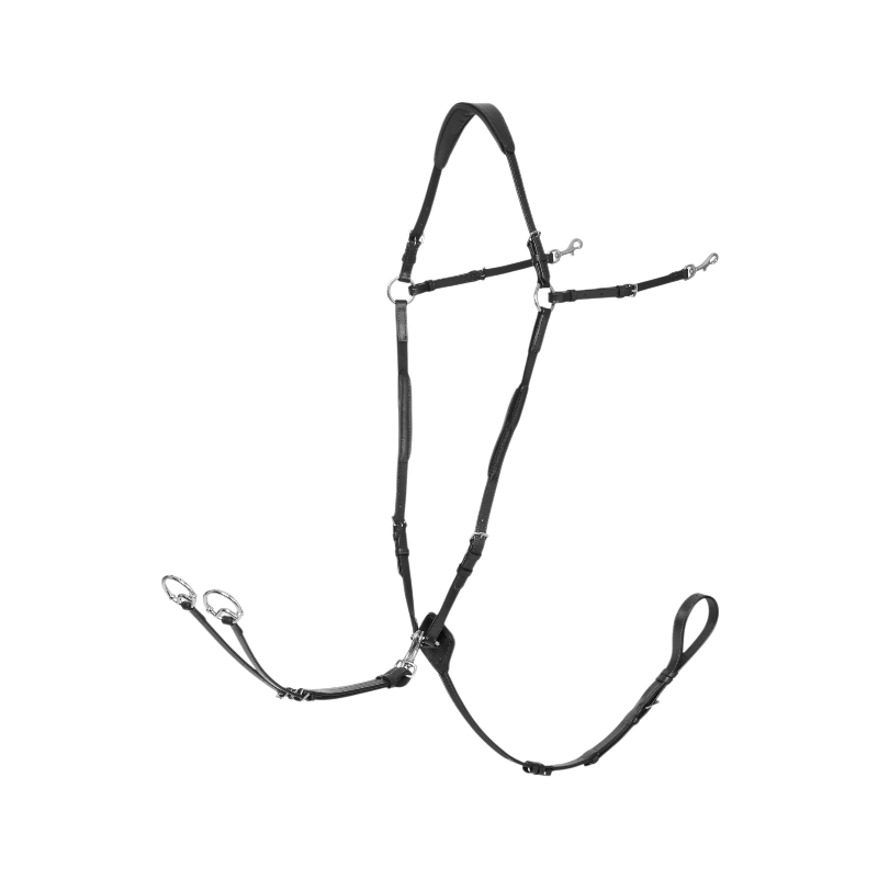 Lemieux - Collier de chasse D-Ring Attachment noir/ argent | - Ohlala