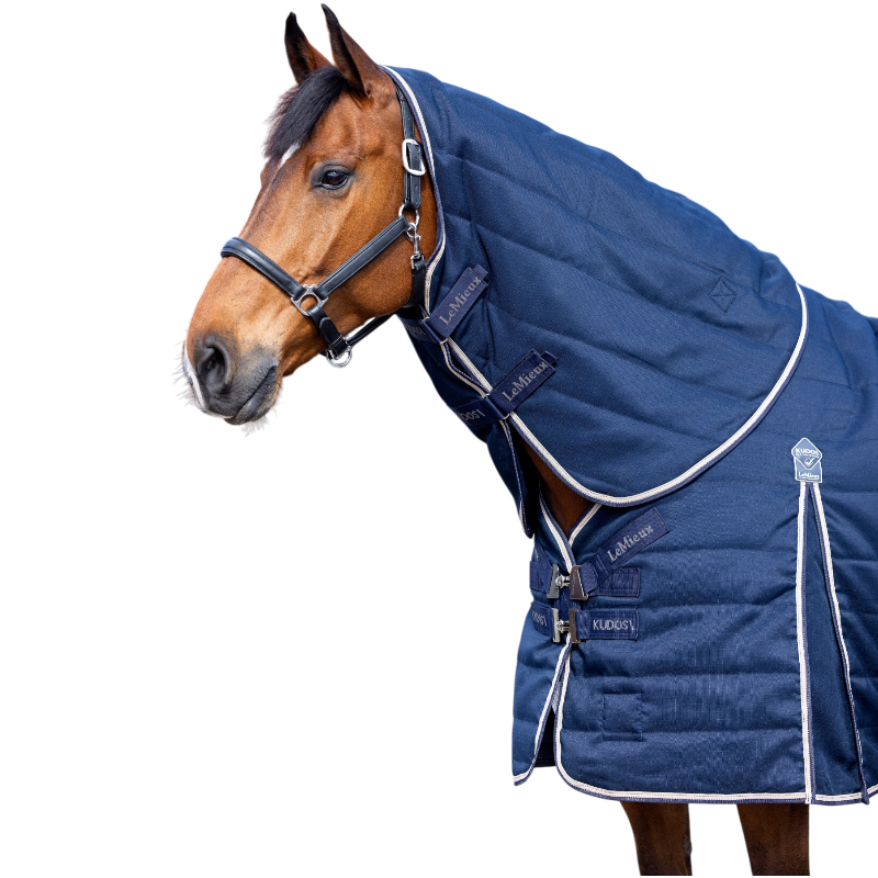 Lemieux - Couvre-cou pour chevaux d’écurie Kudos marine 200g | - Ohlala