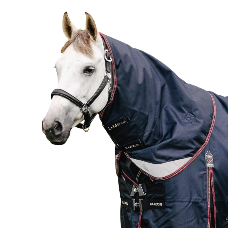 Lemieux - Couvre-cou pour couverture d'extérieur Kudos Turnout marine 100g | - Ohlala