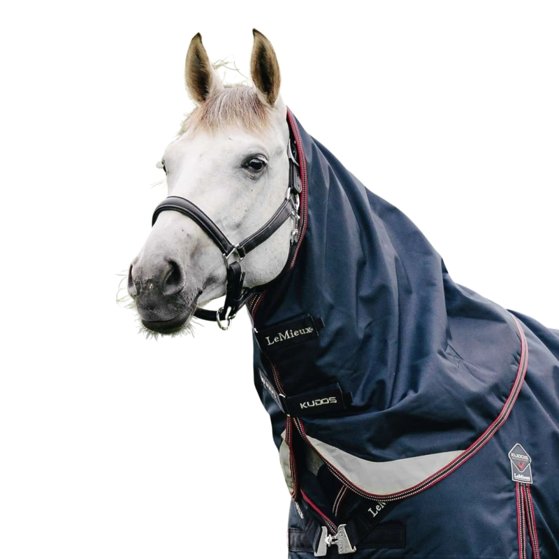 Lemieux - Couvre-cou pour couverture d'extérieur Kudos Turnout marine 50g | - Ohlala