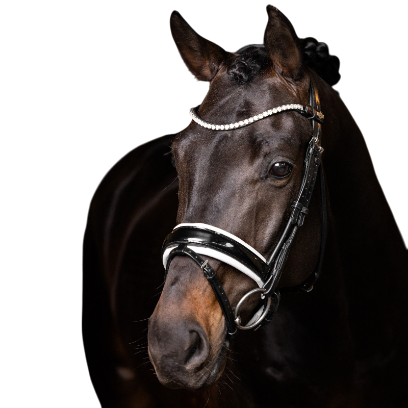 Lemieux - Frontal Ice Crystal noir | - Ohlala