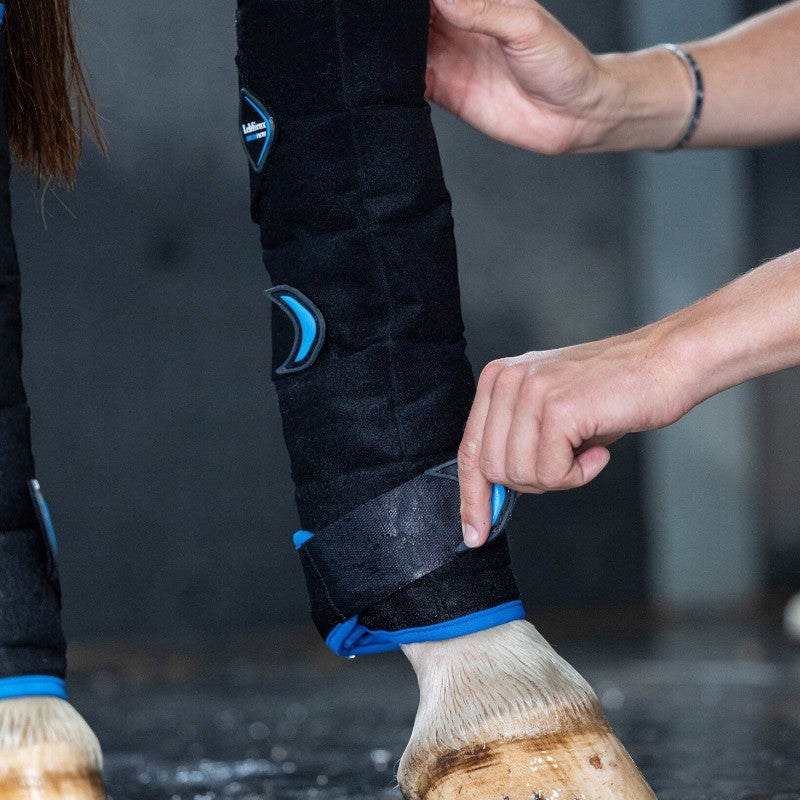 Lemieux - Guêtres refroidissantes arrière Freeze Flow Ice noir | - Ohlala