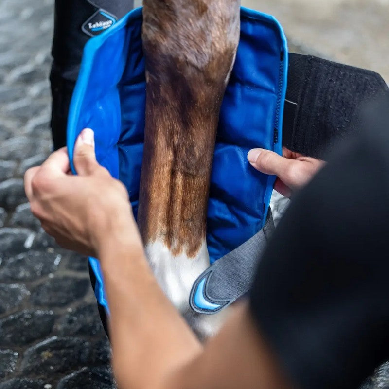 Lemieux - Guêtres refroidissantes avant Freeze Flow Ice noir | - Ohlala