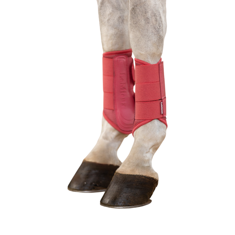 LeMieux - Guêtres souples Mesh Arika cranberry | - Ohlala