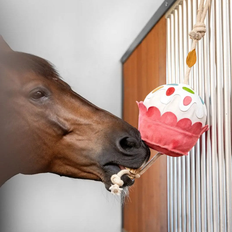 Lemieux - Jouet pour chevaux Cupcake | - Ohlala