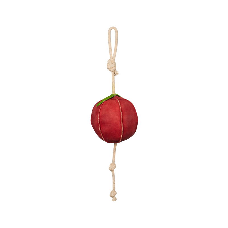 Lemieux - Jouet pour chevaux Pomme | - Ohlala