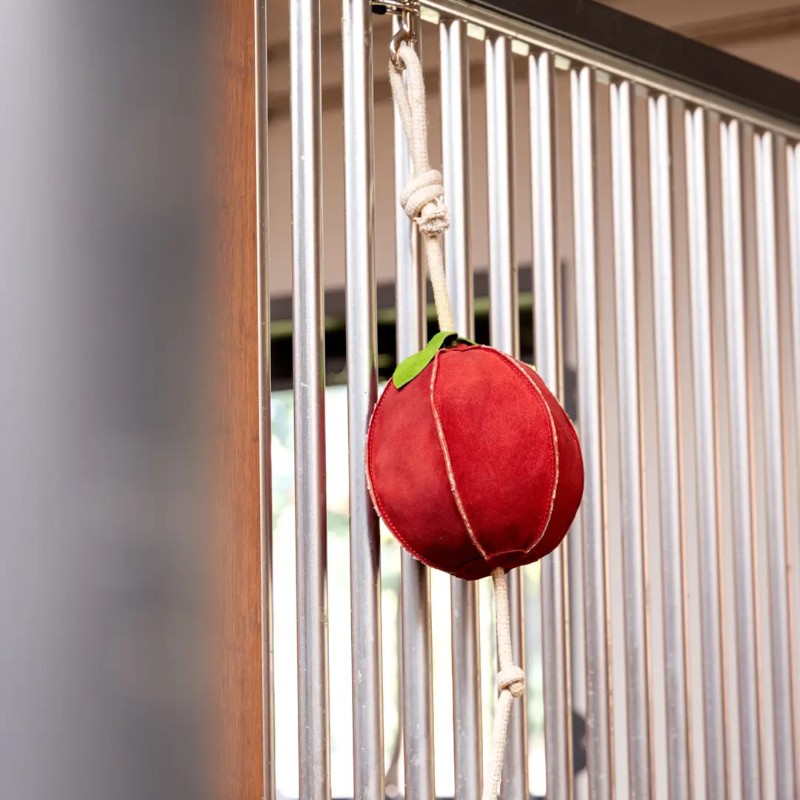 Lemieux - Jouet pour chevaux Pomme | - Ohlala