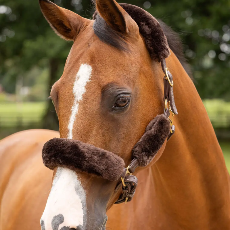 Lemieux - Kit fourreau de licol Simuwool marron | - Ohlala