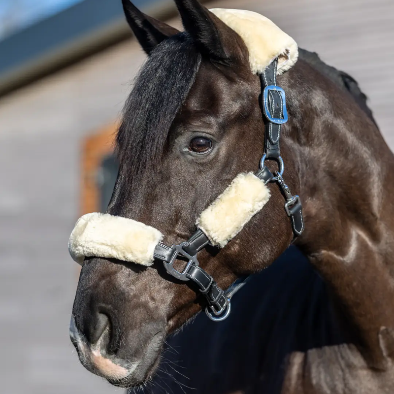 Lemieux - Kit fourreau de licol Simuwool naturel | - Ohlala