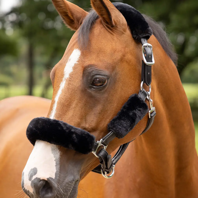 Lemieux - Kit fourreau de licol Simuwool noir | - Ohlala